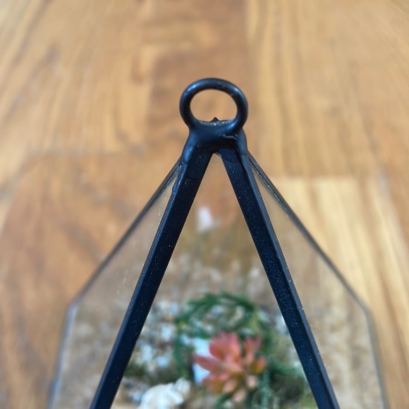 NWOT Black Metal Terrarium with rocks & mossy log - Picture 6 of 6